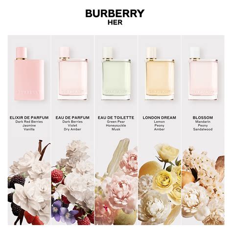 burberry burberry her eau de parfum|where to buy burberry her.